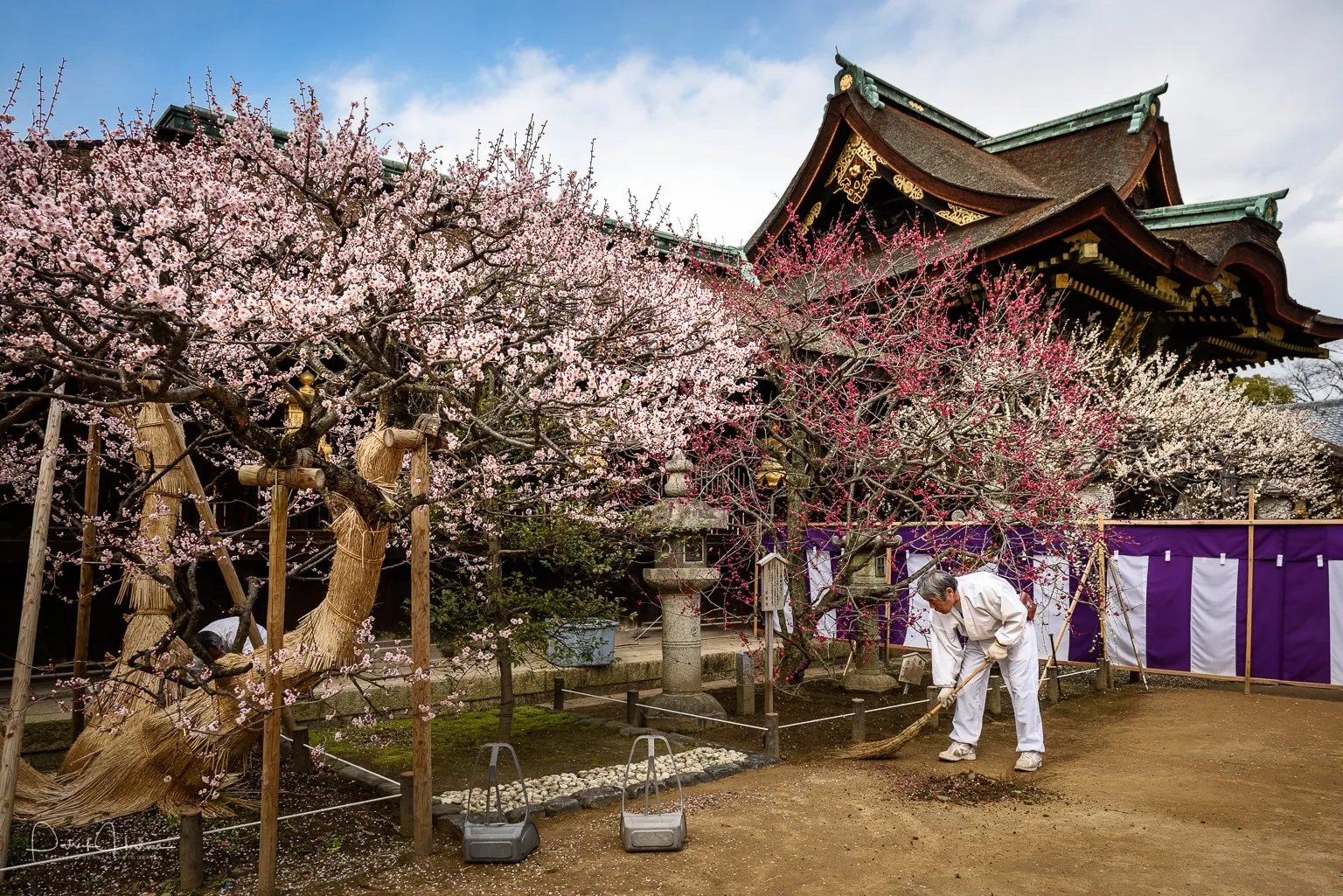 ⛩️ 죠구 텐만구 신사 (조구 텐만구) 이미지 5